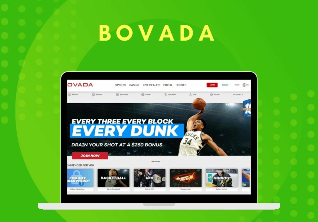 Bovada sports betting website guide in India