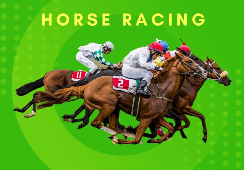 Exotic betting on Horse Racing information in India
